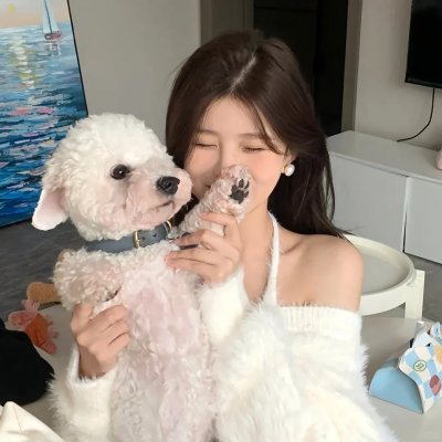 芝加哥警署第一季