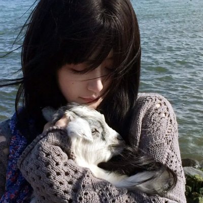 推理、讨论和叙述